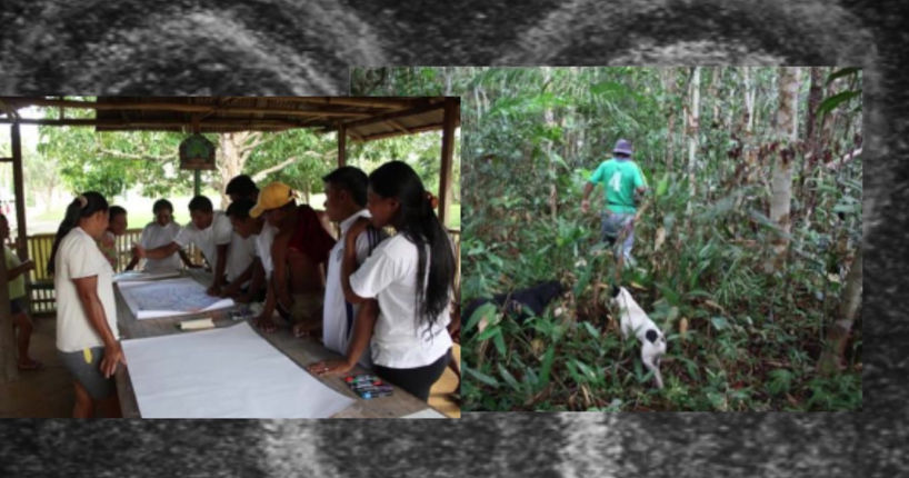 Cacería en selva humeda tropical